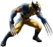 Wolverine