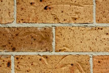illustration of bricks