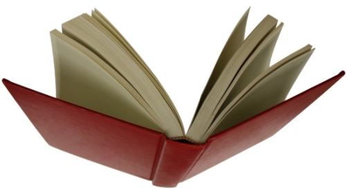 illustrative photo of flying book flying book