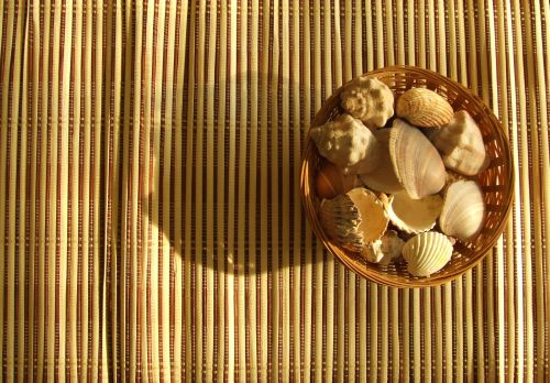 seashells on bamboo mat
